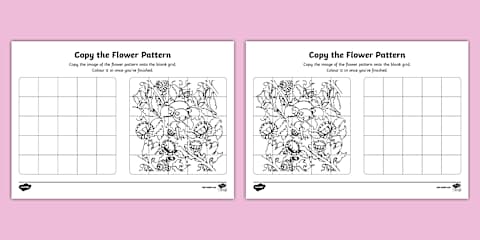 Finish the Flower Picture Worksheet