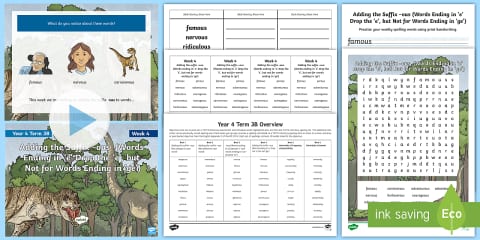 Year 4 Term 3B Week 6 Spelling Pack