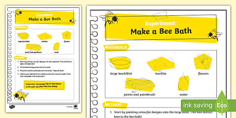 Bee and Pollination Science Experiment