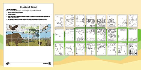 World Biomes Map Collaborative Art Pack