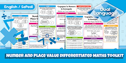 Grade 4 Maths - Number and Place Value Differentiated Maths Toolkit ...