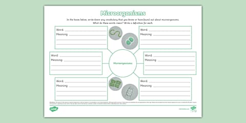 Microorganisms Fact File Classifying Microorganisms Leaflet Template