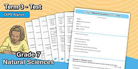 Grade 7 - English HL - Term 3 - Test (CAPS Aligned)