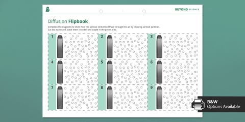 Diffusion Investigation Worksheet