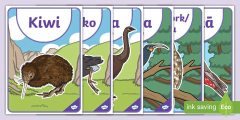 NZ Native Bird Colouring Pages Pack
