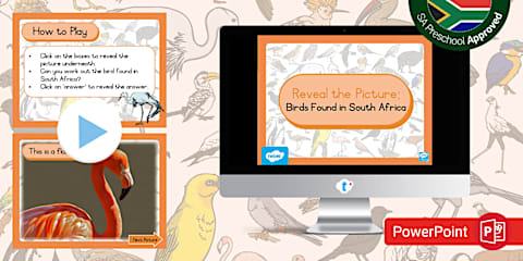 Preschool: Birds - Common Birds of South Africa Identification Chart