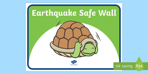 Reo Turtle Earthquake Safety Procedure Display Posters