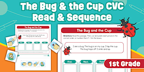 First Grade The Big Bug CVC Read and Sequence Cut and Paste Activity