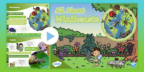 EYFS Ages 3-5 Creative Ways to Use Play Trays: Minibeasts