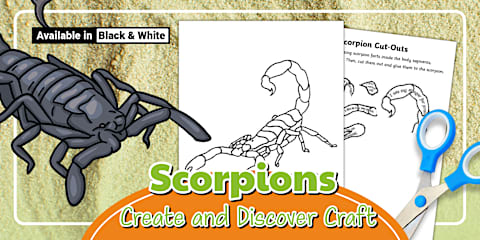 Sign Snake Activity Chinese Zodiac: Teaching Ideas