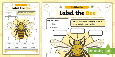 What is a Bee? PowerPoint