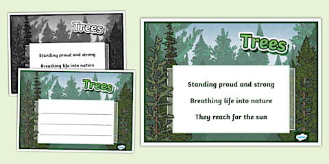 Seasons Haiku Poem Example Pack