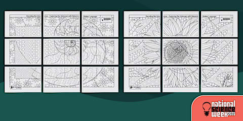 National Science Week 2025 Collaborative Colouring