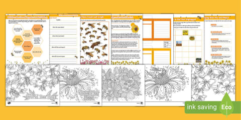 World Bee Day Primary Ultimate Teaching Pack