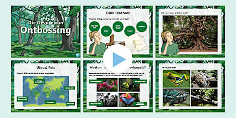 Weekdiere Graad 7 - Natuurwetenskappe - Kwartaal 1 - Ongewerwelde Groepe ...