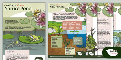 Pond Labelling Summer Pond Life Information Sheet