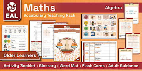 EAL Transition Pack - Older Learners