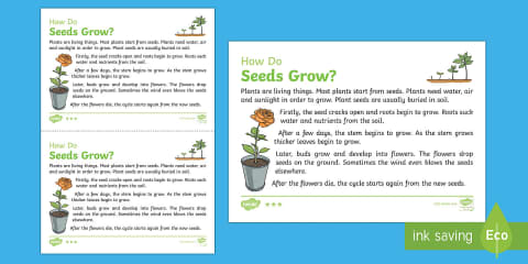 How to Grow Potatoes Instruction Writing Template