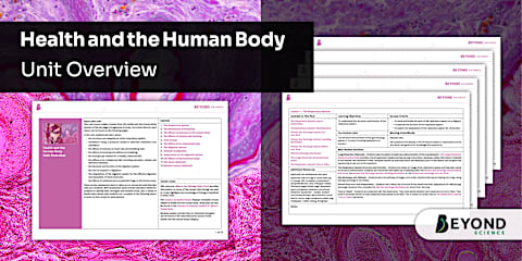 KS3 Inheritance and Evolution Unit Overview