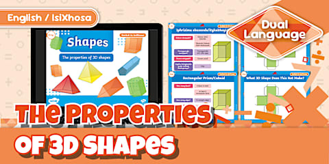 3D Shape Sorting Activity isiXhosa