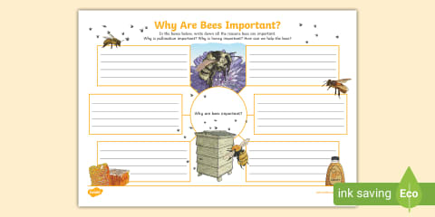 Pollinators Mind Map Pollination Mind Map