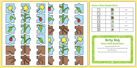 Grow a Plant Beetle Drive Busy Bag Resource Pack for Parents