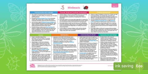 EYFS Minibeasts Adult Input Planning and Resource Pack (Ages 3-4)