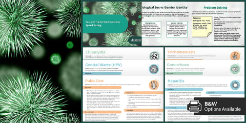 Sexually Transmitted Infections Fact Sheets
