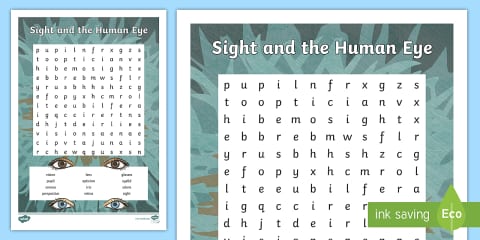 Parts of the Eye Cut and Paste Worksheet for K-2nd Grade
