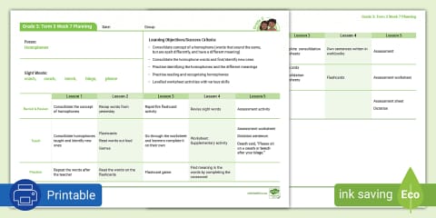 Grade 3 Phonics: Term 1 Week 7 Planning