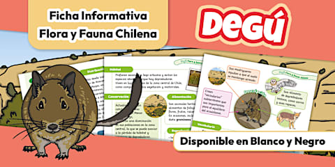 Fauna R Ficha Informativa: Fauna Chilena - Loica