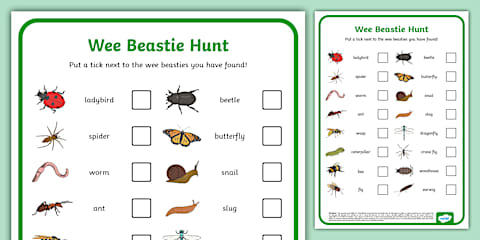 Red Panda Pattern Tracing Activity Sheet