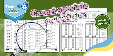 Clasa a II-a: Organizarea și reprezentarea datelor – Test fulger
