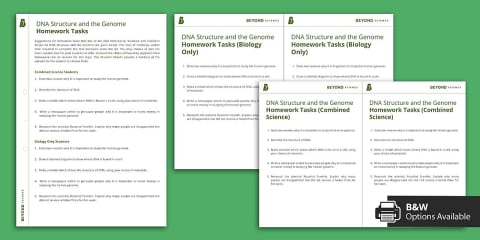 DNA and the Genome Independent Learning Worksheet
