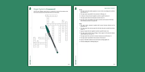 KS3 Ecosystems and Interdependence Crossword
