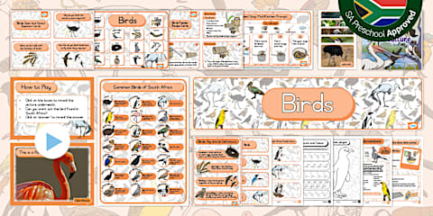 Preschool: Birds - Common Birds of South Africa Identification Chart