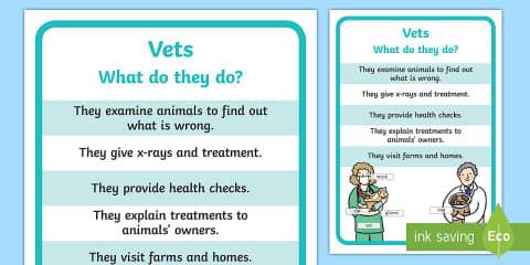 Vets Display Banner