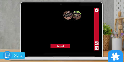 Insect Interactive Shadow Matching Game