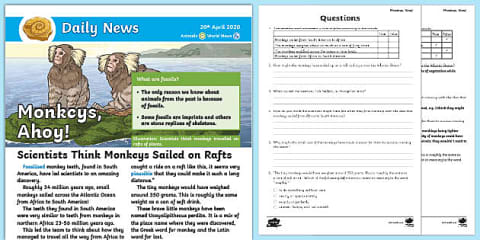 KS1 All About Monkeys Reading Comprehension Activity