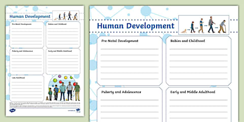 Human Development Hexagon Writing Template
