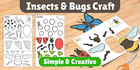 Insects and Bugs Cutouts