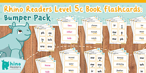 Level 2 Rhino Readers Intervention Mini-Reads: Flashcards Bumper Pack
