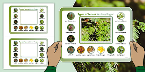 Kindergarten Portable Adjectives Identification Frame Viewer