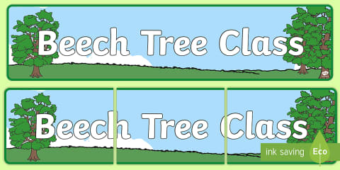 Birch Tree Themed Classroom Banner Silver Birch