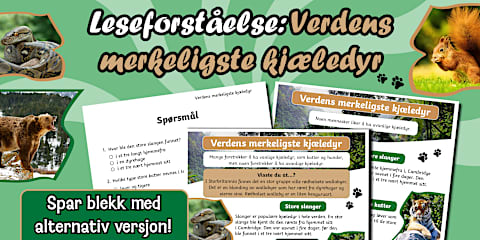 Addisjon og subtraksjon med 2 siffer | Aktivitetsark