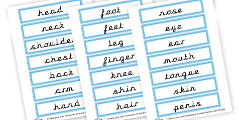 Picture Dictionary Body Parts Word Cards Pack