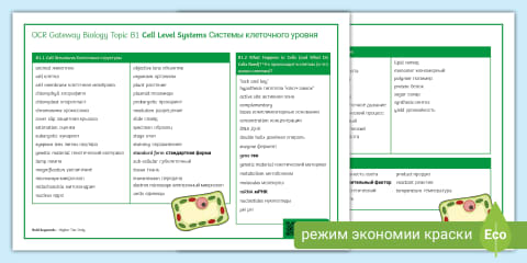Biology Topic B3 Organism Level Word Mat with Russian translation