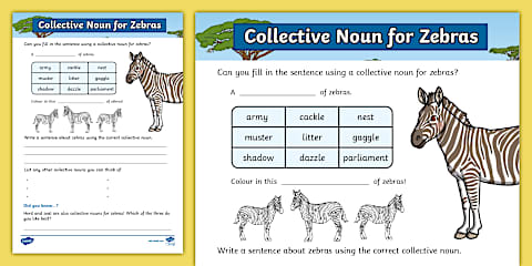 Collactive Names Collective Noun for Cheetahs Worksheet