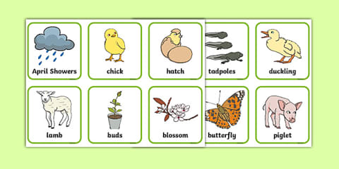 Spring Animals Matching Spring Photo Matching Pairs Game
