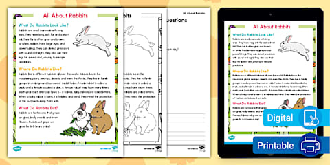 Second Grade All About Ducks Reading Comprehension Worksheet